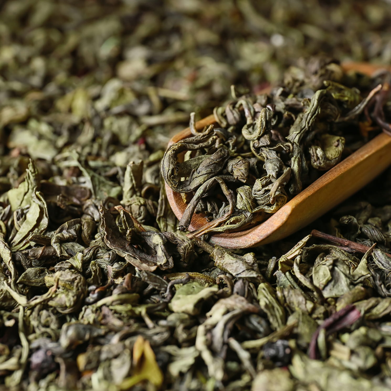 Tea Leaves